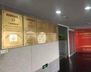 上海维情网络科技股份有限公司